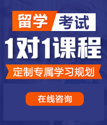 岛国男女日逼b视频留学考试一对一精品课